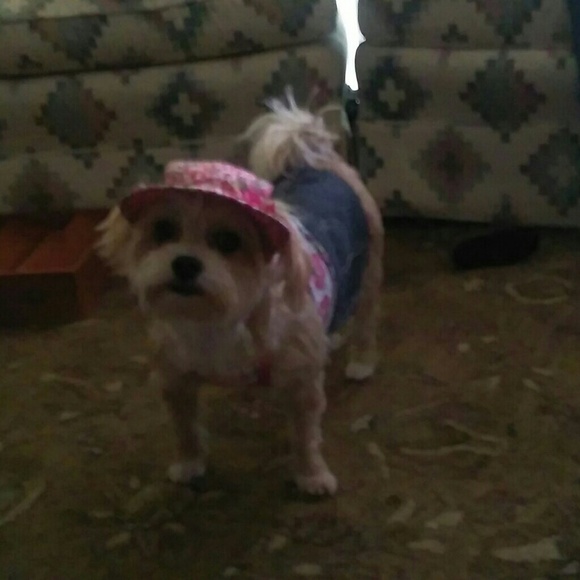 Meet your Posher, Pamela - Picture 4 of 11